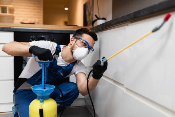 Best Affordable Pest Control Services  in Galena, KS