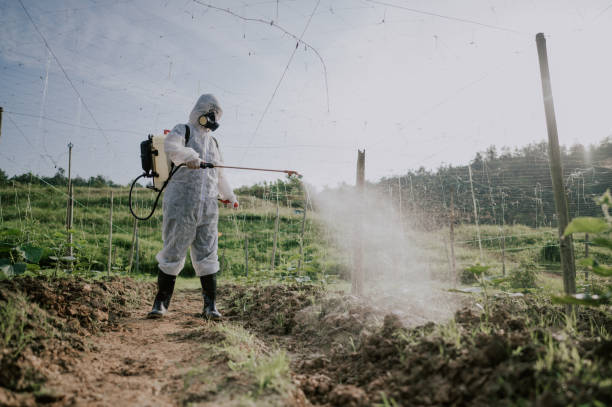 Best Best Pest Control Companies  in Galena, KS