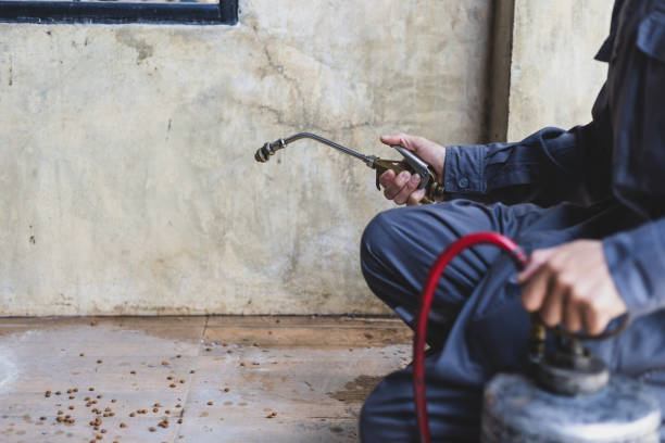 Best Emergency Pest Control  in Galena, KS