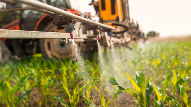 Best Commercial Pest Control Services  in Galena, KS
